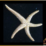 Gold vermill starfish with cubic zirconia approx 2 "